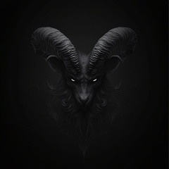 Blackberry PNS18⚖️