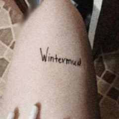 wintermud