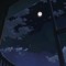 ocean night