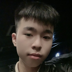 Hoang AnhTu