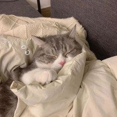 にめ