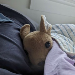a single flower floating on a lake
