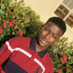 Saleeem_Spider
