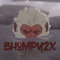 Bhompy2x