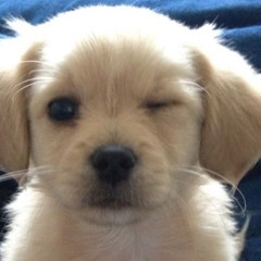 Booba - Repose en paix (instrumentale) B.J 31