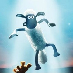 shon🐑