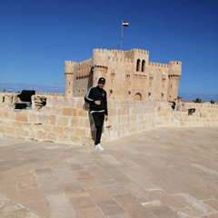 Tamer Ismail