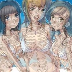 Suzies Asylum