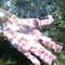 DimanizeR