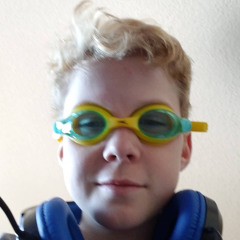 hudson flodell