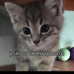 машонковый строитель