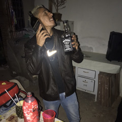 Vinis