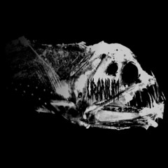 Hardcore/Rawstyle/Uptempo/Speedcore/Terror/Hardstyle