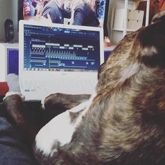 DeadKillerProd