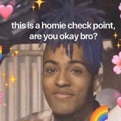 homie checkpoint, you good?