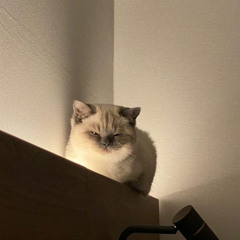 rrr