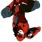 Spidey Manager