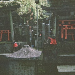 Tsuga 栂