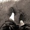 Samiel13