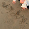 hihiz_kep1