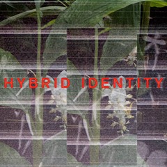 hybrid identity