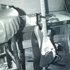 Pleasure Avalanche / The Guest House