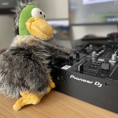 Dj Wadenkrampf