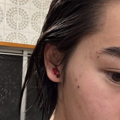 Songs from Suicide Bridge