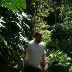 Tomaz