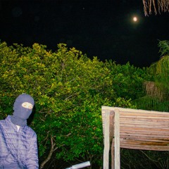 FLXN'