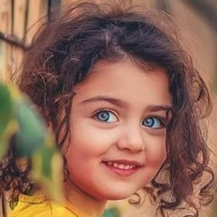 mahmoud alaa