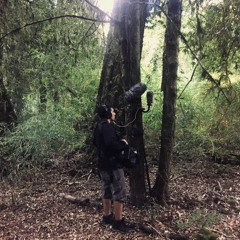 Carlo Sánchez Farías.