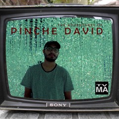 Pinche DAVID