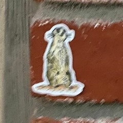 localghost