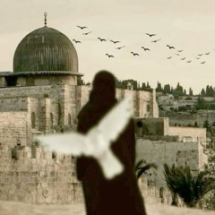 آلاء °