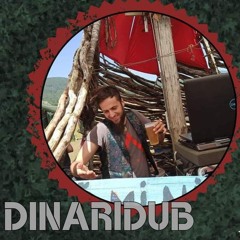 DinariDub