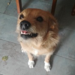Ki