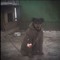 какой-то отпизд