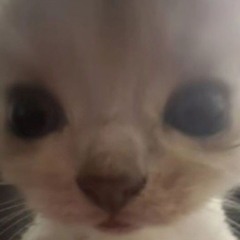 louna