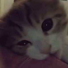 московские прятки - yahochupikachu