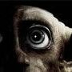 Dobby D Beats