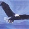 White Eagle