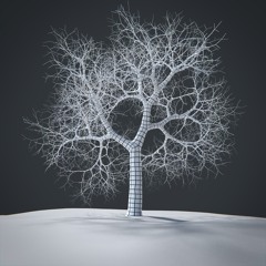 ｃｅｒｔｉｆｉｅｄ ｒｏｏｔ