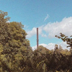 Carl Rajala Pettersson