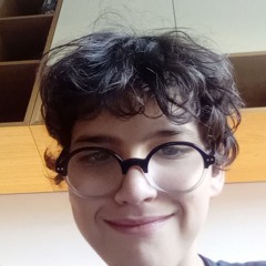 mehdi Krichen