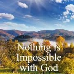 𝍁MeticulousFavorableGuide𝍁𝌺𝍁