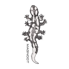 MAGNOOT
