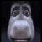 OneNation_JuJu
