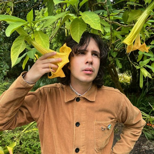 Stream Henry J Smith music Listen to songs, albums, playlists for