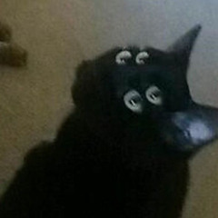 𝙭.𝙤.𝙖𝙨𝙩𝙧0_